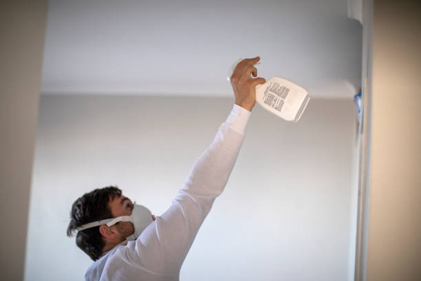 Bensley, VA Mold Removal Company