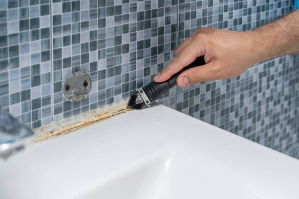 Best Emergency Mold Removal  in Bensley, VA